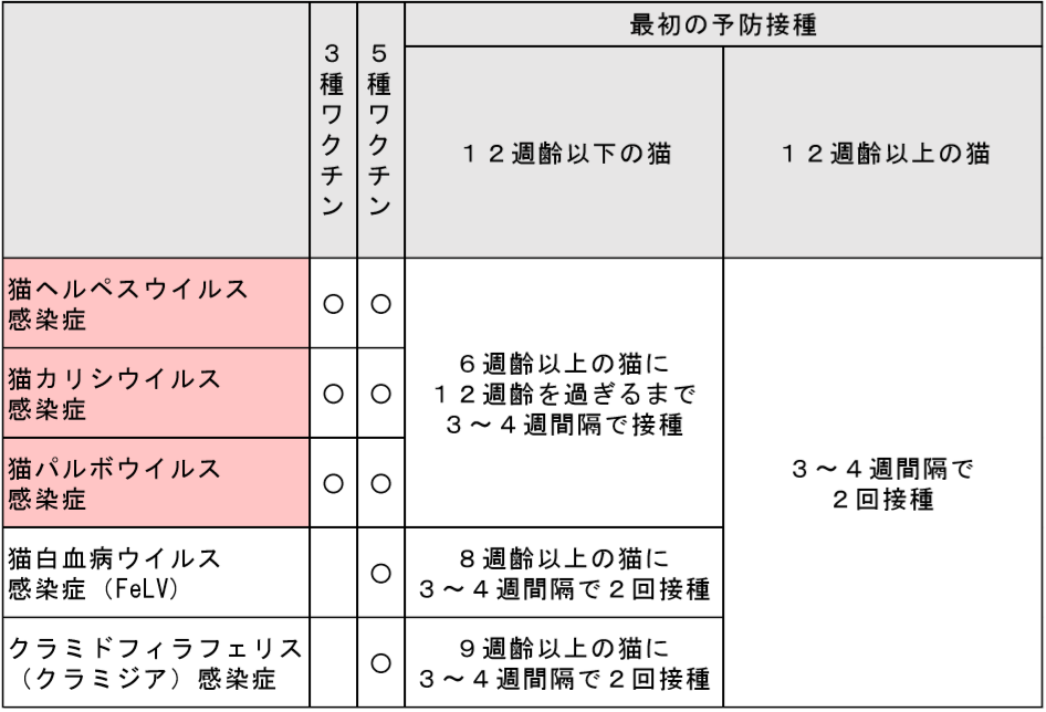 武蔵小杉で犬ネコうさぎのことなら元住吉からき動物病院